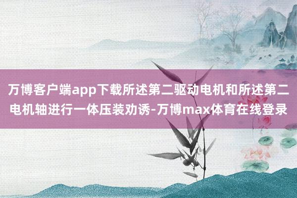 万博客户端app下载所述第二驱动电机和所述第二电机轴进行一体压装劝诱-万博max体育在线登录