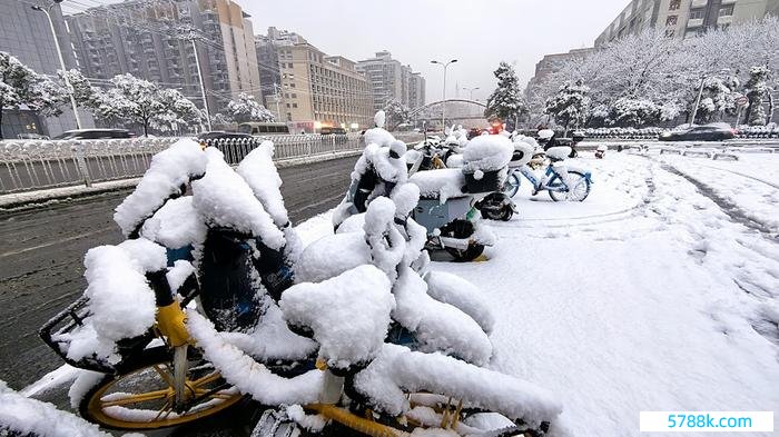 1月22日，长沙大雪纷飞，积雪最深处达10厘米。视觉中国 图