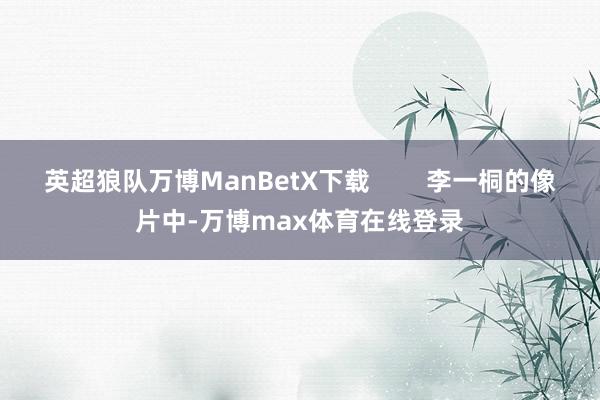 英超狼队万博ManBetX下载        李一桐的像片中-万博max体育在线登录