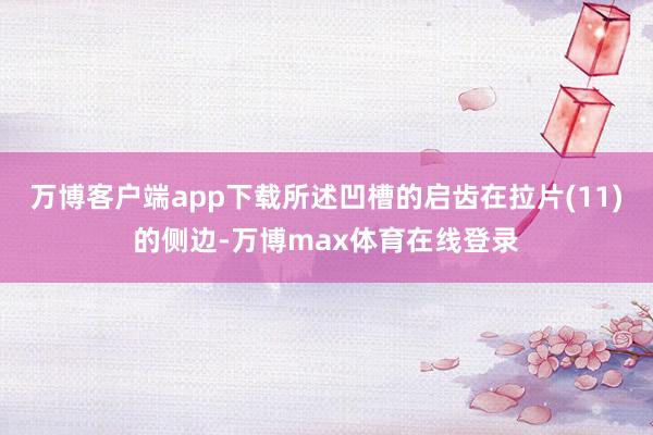 万博客户端app下载所述凹槽的启齿在拉片(11)的侧边-万博max体育在线登录