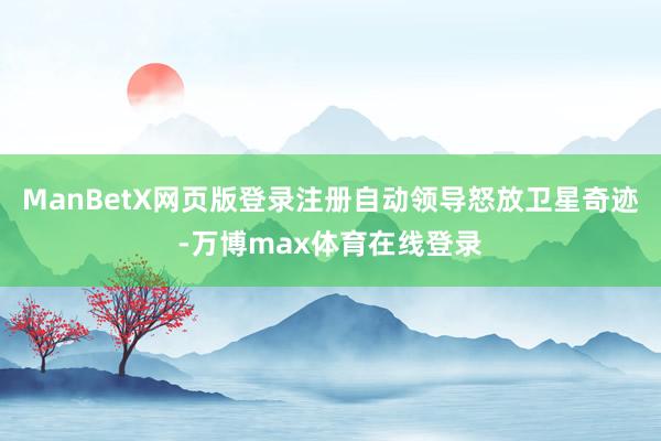 ManBetX网页版登录注册自动领导怒放卫星奇迹-万博max体育在线登录