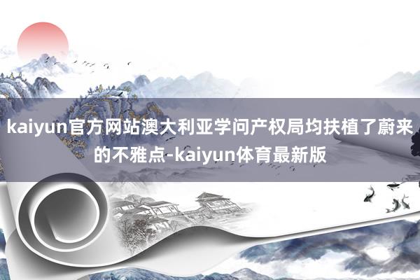 kaiyun官方网站澳大利亚学问产权局均扶植了蔚来的不雅点-kaiyun体育最新版